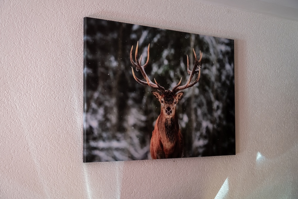 Le Vieux Valais & Aftersky